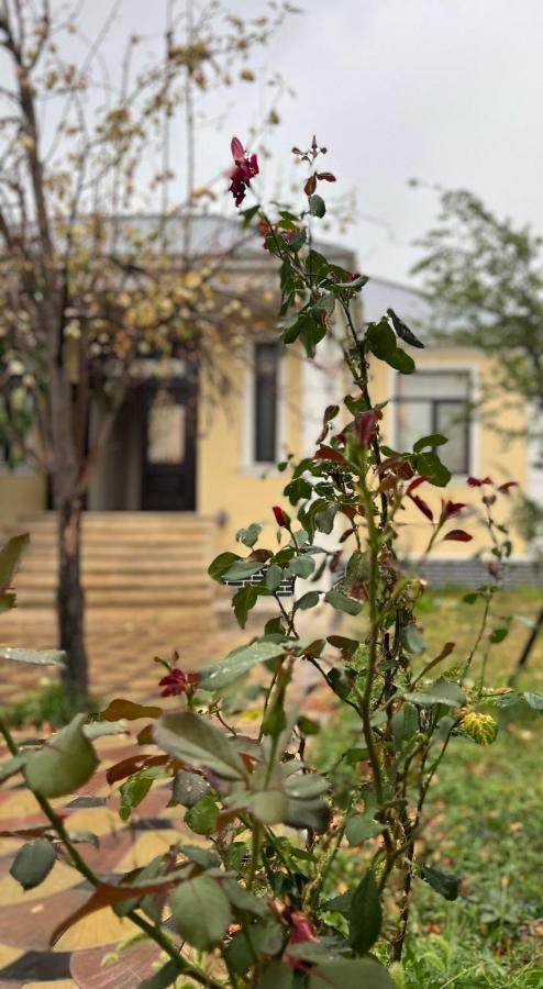 Emirest Villa Qəbələ Exterior foto