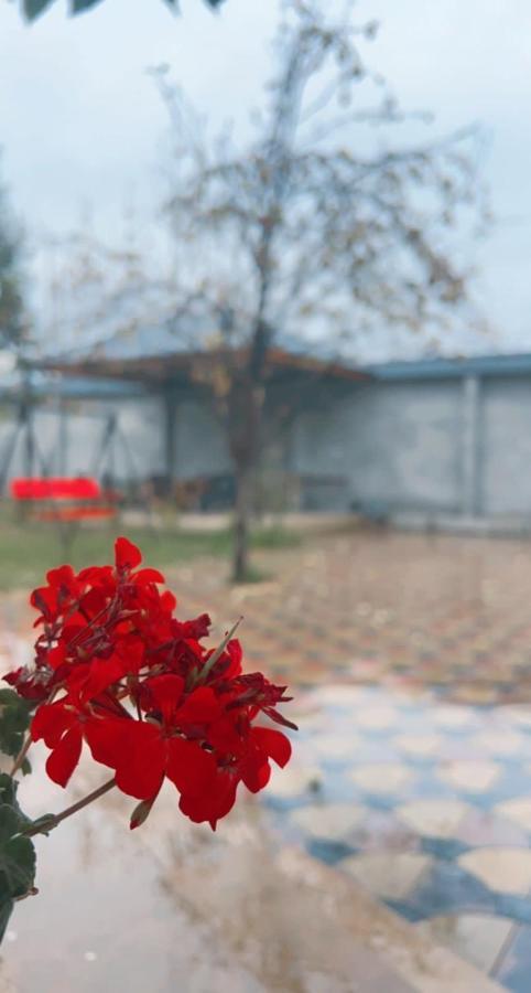 Emirest Villa Qəbələ Exterior foto